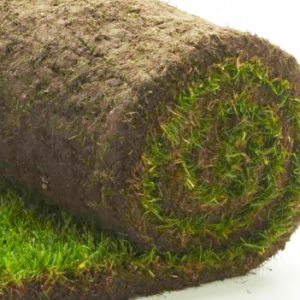 Gräs på rulle (pris per m²)